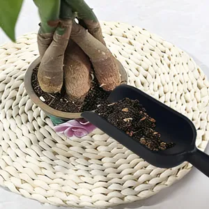 Paletta da giardino in plastica nera per trapiantare piante grasse, paletta per terra.