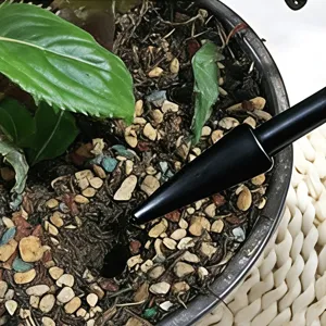 Strumento per trapiantare piante succulente dibber attrezzo da giardinaggio perforatore di semine.