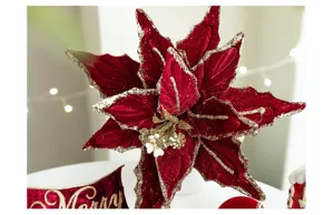 Close-up of burgundy flocked poinsettia flower with gold glitter edges for Christmas