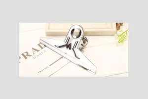 Detailed close-up shot of a sturdy metal binder clip on a scenic surface, office supply.