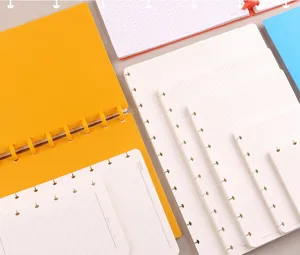 Schijfgebonden notitieboek navullingen, geruit en gelinieerd papier voor DIY planners.