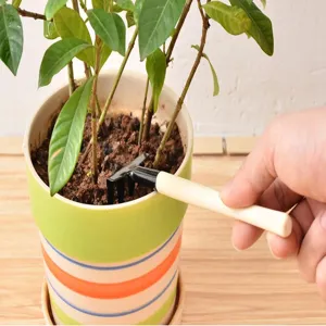 Mini metal garden rake with wooden handle for potted plants and succulent soil loosening detail.