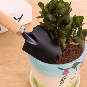 Mini garden shovel with wooden handle and metal head for potted plants and succulent care.