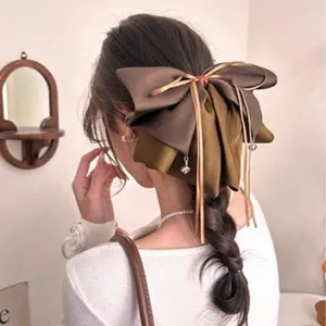 Vue arrière d'un élégant nœud en satin marron sur une coiffure avec tresse basse