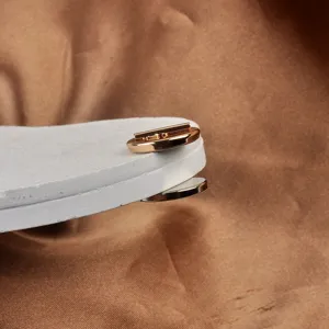 Detail view of golden magnetic brooch converter showing strong suction mechanism