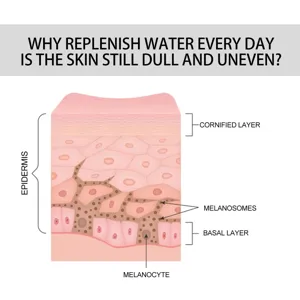 Infografica dettagliata della struttura cutanea che mostra l'epidermide e i melanosomi.