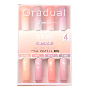 Pastel aesthetic highlighter pen set 4 colors for bullet journaling and school note taking.