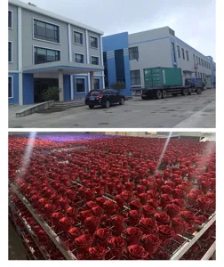 Wholesale 3-layer rose soap flower heads artificial floral bulk factory supply stock display