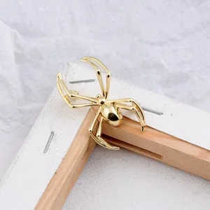 Detailansicht einer goldenen Punk-Spinne-Brosche an einer Holzecke eines Bilderrahmens