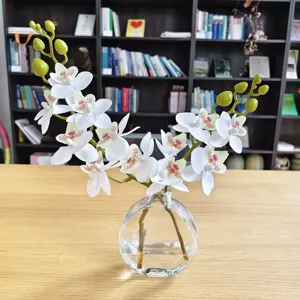 Fausse orchidee Phalaenopsis en vase en verre avec de l'eau artificielle pour deco.