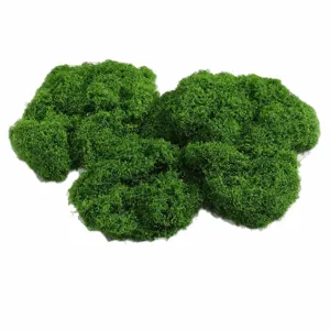 Fausse mousse verte artificielle plante pour la decoration murale de jardin DIY artisanat