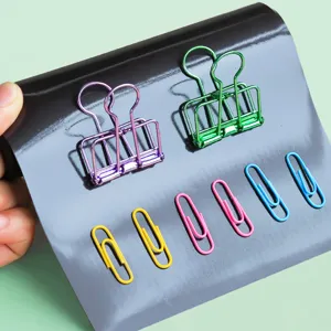 Set di clip per raccoglitori colorate e fermagli su foglio magnetico per ufficio.