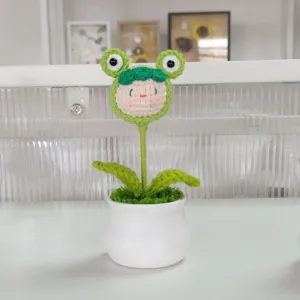 Handmade crochet frog flower potted plant cute doll decoration for home and office desk decor