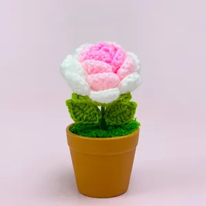 Handmade crochet rose flower potted plant, cute knitted floral decor for home desk gift.