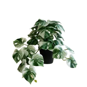 Artificial variegated monstera plant in black pot for home indoor decor and desktop greenery.