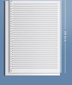 Clear plastic grid ruler template for A4 paper exam essay formatting and line drawing tools.