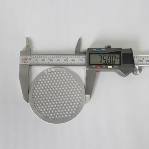 Vue détaillée de la grille filtrante en acier inox, composant tôle micro-perforée ronde de 75 mm.