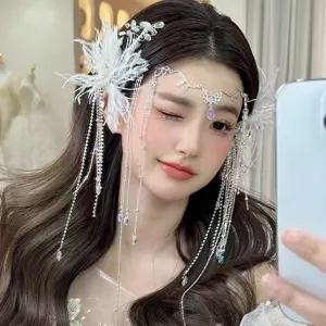 Détail d'une élégante pince à cheveux ailes de papillon en cristal avec pompons