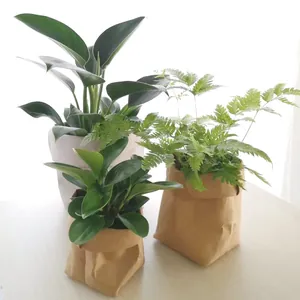 Eco-friendly washable kraft paper bags used as decorative flower pots on a wooden table