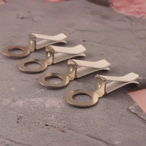 Detailaufnahme von Autolüftungsschlitz-Parfumclips mit weißem Clip und Metallring im Set.