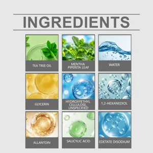 Detailed ingredient infographic showing active components and natural extracts of the acne patch.