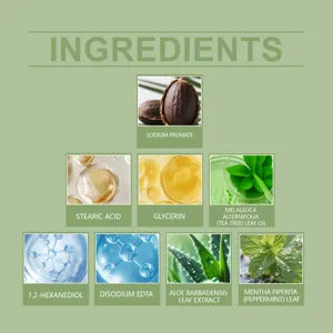 Infographie détaillée mettant en valeur les actifs et la formule du savon visage tea tree.