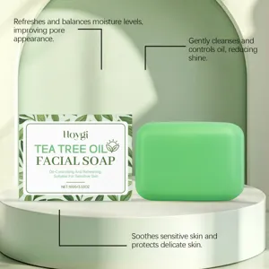 Savon visage à l'arbre à thé HOYGI, vue détaillée avec pain de savon vert et boîte.
