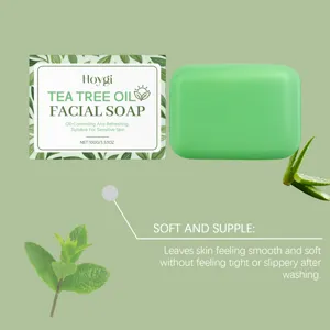 Savon visage huile d'arbre à thé HOYGI 100g nettoyant doux sébo-régulateur pour peaux sensibles