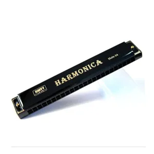 24-hole metal harmonica in black with gold text, double row design for kids and students playing.