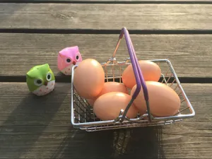 Mini metalen winkelmandje bureau opbergdoos voor make-up spons en uil decoratie.