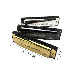 10 Loch Blues Mundharmonika in Schwarz Gold und Silber, tragbares Musikinstrument für Kinder.