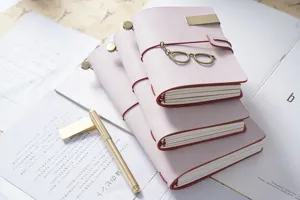 Taccuino in pelle Traveler's dettaglio, diario ricaricabile vintage, agenda scrittura.