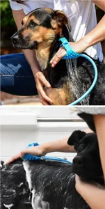 Dettaglio della spazzola da bagno per animali domestici con ugello spray e setole.