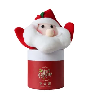 Weihnachts-Geschenkbox mit Weihnachtsmann-Plüschfigur für Äpfel am Heiligabend