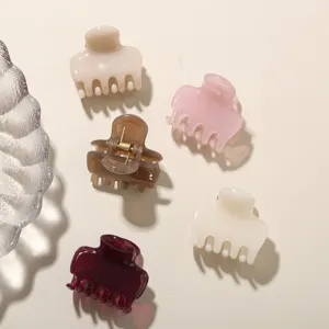 Set aus fünf bonbonfarbenen kleinen Haarklammern in verschiedenen eleganten Tönen