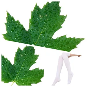 Unisex Over The Knee Stockings Polyester Maple Leaf Jacquard Long Socks Athletic Compression Fashion Leg Wear