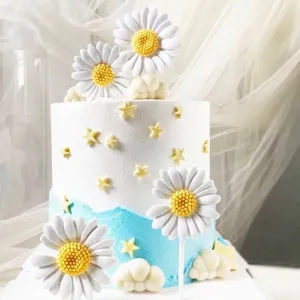 Set di topper per torta a margherita e stella in resina per decorazione feste