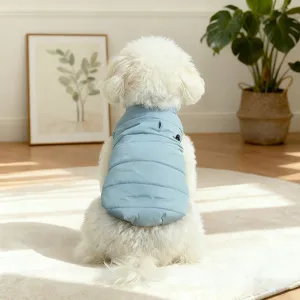 Back view detail of a cute small dog wearing a warm light blue winter vest in cozy home.