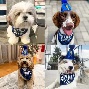Dog birthday party hat and bandana set cute blue plaid pet costume accessories for dogs.