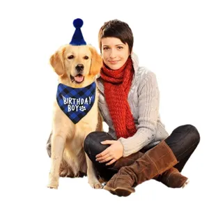 Dog birthday party bandana and hat set, blue plaid puppy costume for male pet celebration.