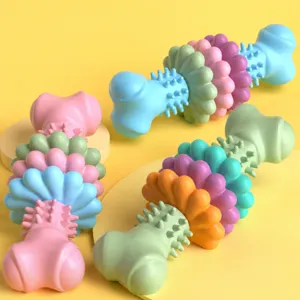 Pet Chew Toy Dog Molar Toy TPR Bone And Succulent Slice Design Teeth Cleaning Interactive Toy For Dogs