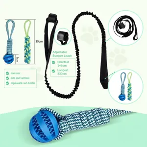 Pet dog interactive tug toy set with bungee leash and durable teething ball for outdoor.