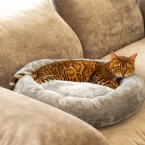 Cozy grey plush pet bed detail scene, featuring a soft fluffy texture and comfortable resting area.