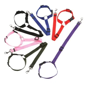 Adjustable pet car seat belt for dogs, safe travel traction leash for back seat use.