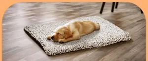 Selbstwärmende Haustier Heizdecke für Hunde und Katzen, gemütliche kuschelige Thermomatte.