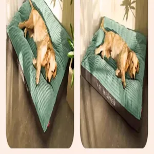 Large dog stripe pet bed detail showing cozy green corduroy surface for comfortable pet resting experience.