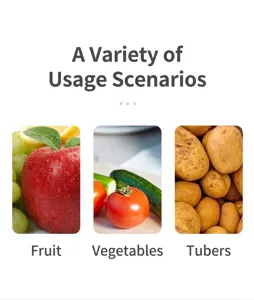 Detailed view showcasing usage scenarios for stainless steel fruit and vegetable peeler.
