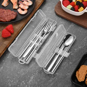 Portable stainless steel cutlery set with spoon fork chopsticks and clear travel case