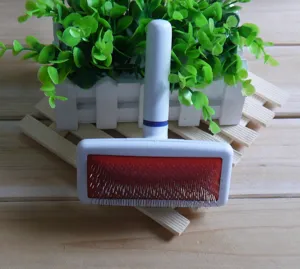 Detailed close-up view of the pet slicker brush featuring fine stainless steel pins and handle.