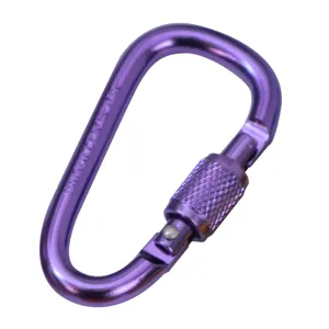 Kleine 6cm Aluminiumlegierung Karabinerhaken D-Ring Schlüsselanhänger Outdoor Ausrüstung